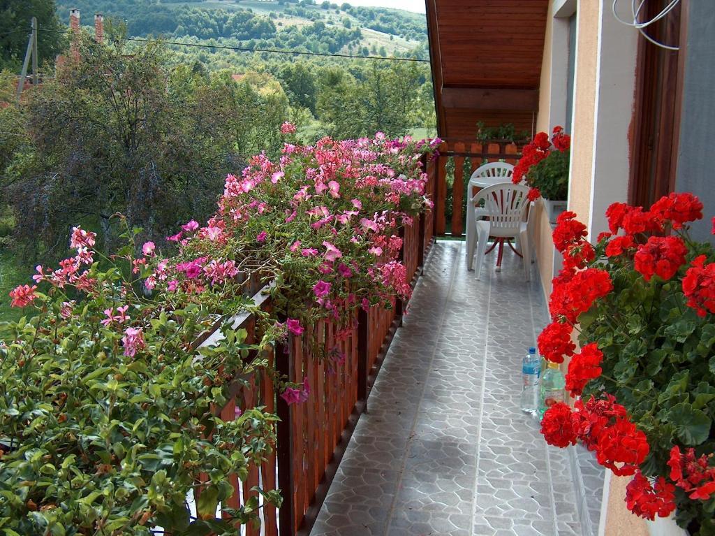 Apartments Ana Smoljanac Δωμάτιο φωτογραφία