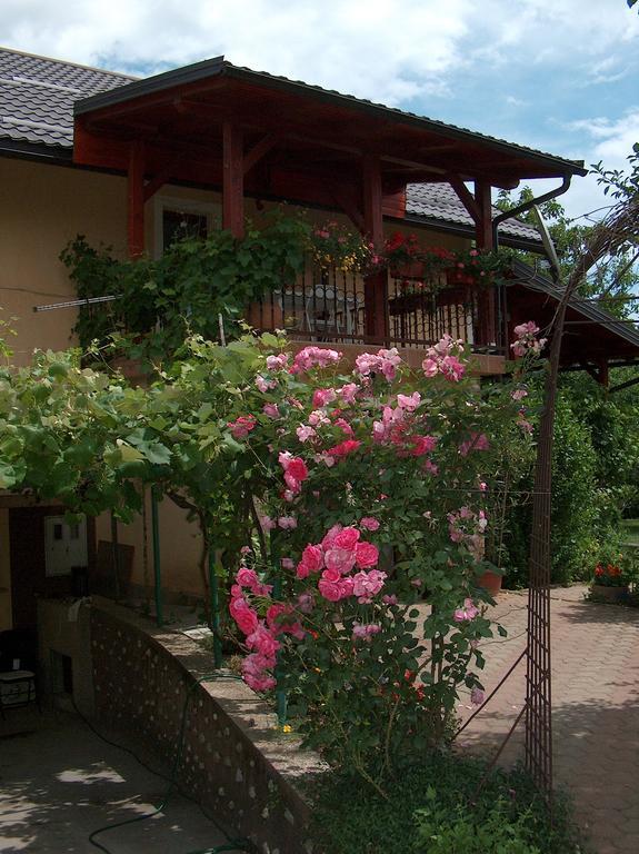 Apartments Ana Smoljanac Εξωτερικό φωτογραφία
